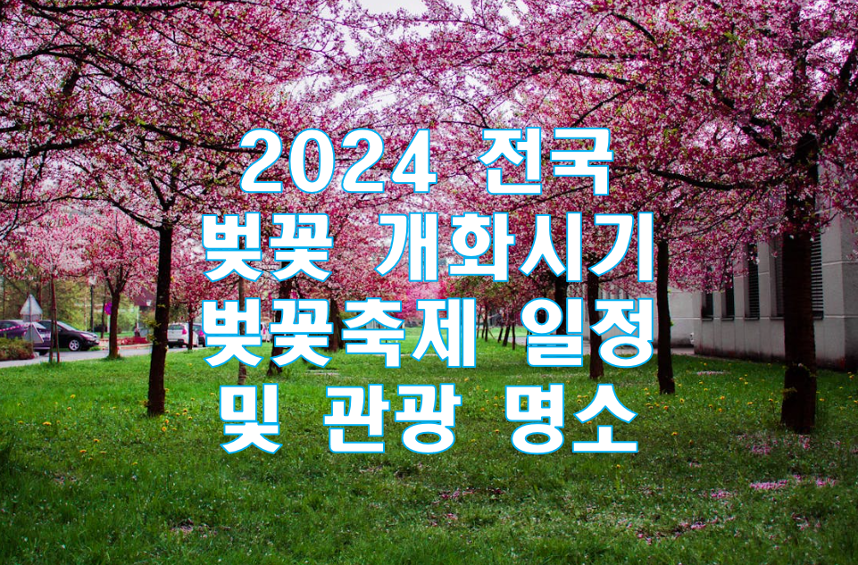 2024 전국 벚꽃 개화시기 벚꽃축제 일정 및 관광 명소