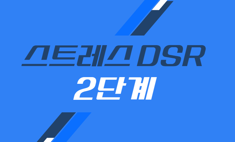 스트레스 DSR 2단계